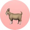 Max A's profile picture