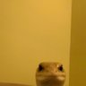 . profil fotoğrafı