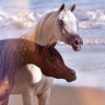 NWRAS JEDDAH's profile picture