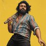 Profilbild von Bucchi The THALA 🏏