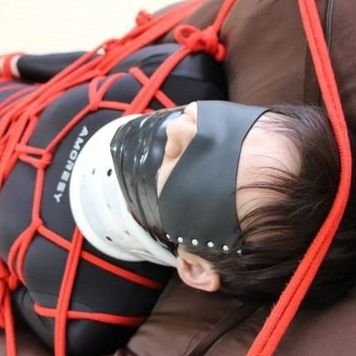 b_tattsun's profile picture