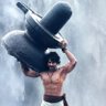Rajesh Reddy's profile picture