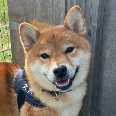 BeNa3rdDrb1iugG's profile picture