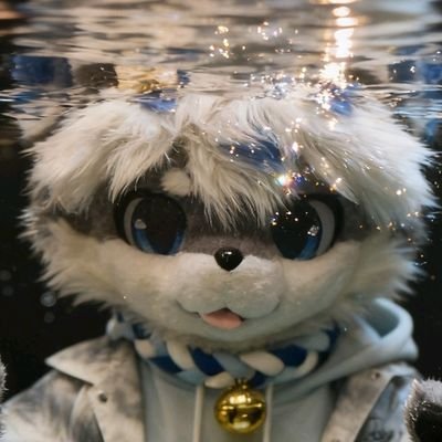 BMWiiiiiii's profile picture