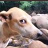 NUSSIE's profile picture