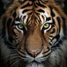 Raj ♥️♥️♥️ love always lives in the heart||♥️♥️♥️ profil fotoğrafı