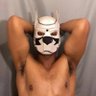 Prince Puppy Pounds U 的头像