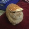 malina's profile picture