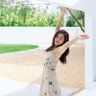 晚风渡京城's profile picture