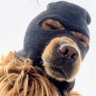 Chill Jit's profile picture