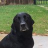 Sleepy's profile picture
