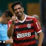 Фото профиля Abel Flarreira