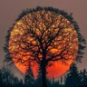 Фото профиля Solice