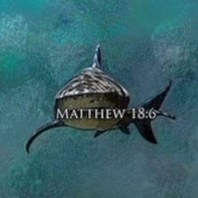 LagrimaChristi's profile picture