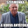 Nagy Gergő's profile picture