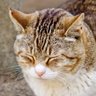 TAKEDA 投資日記's profile picture