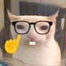 Danz's profile picture