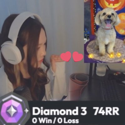 maikozinkaku's profile picture