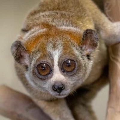 technojvlio's profile picture