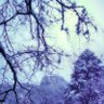 吹雪、ときに雹 profil fotoğrafı
