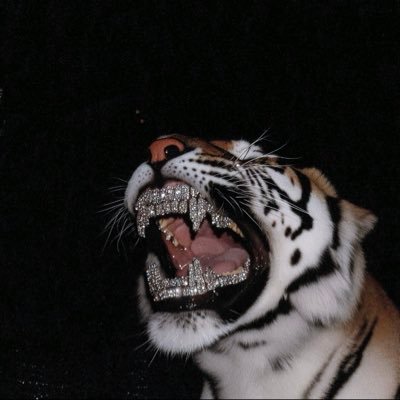 Saucepapii12's profile picture