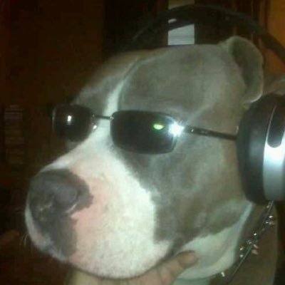 El dictador🇲🇽🇺🇸's profile picture