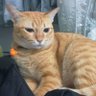 ❤️MamaPPnara😍 profil fotoğrafı