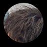 Yamada Taro's profile picture