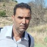 tamim's profile picture