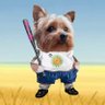Profilbild von WENDY NAFO FELLA🇬🇧🇺🇦