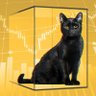 KittenGoldSmith🏳️⚧️☭'s profile picture