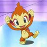 Chimchar's profile picture