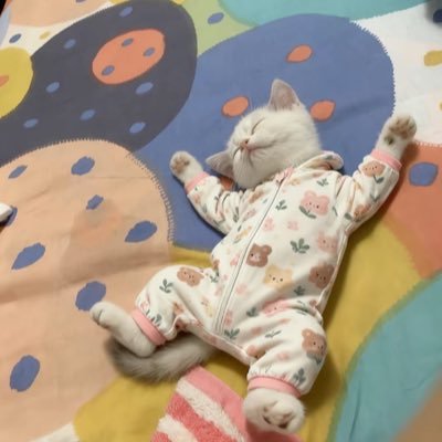 uiiiuuiu's profile picture