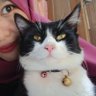Profilbild von Ali⁷🌛🐣🍉