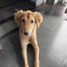 TheCuteSouls 的头像