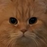 meow 😼 miaow 的头像