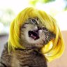 Jim QC ✝️🌸 profil fotoğrafı