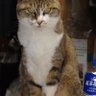 あいうえお's profile picture