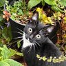 ALISON BRADFIELD profil fotoğrafı
