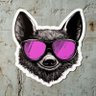 WallofWTF💀's profile picture