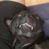 Stephen Ortega's profile picture