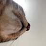 かずほ's profile picture