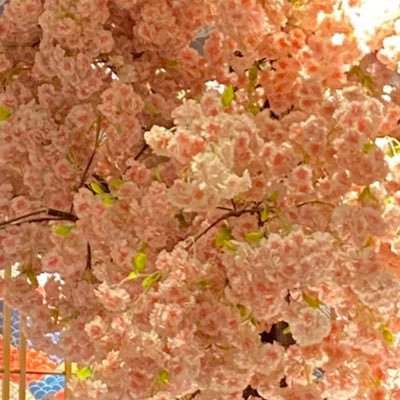 urbubb's profile picture