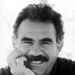 Rênas's profile picture