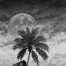 itsEfficientade's profile picture