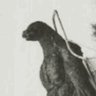 Profilbild von Godzila