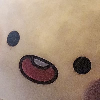 즤즤's profile picture