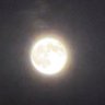 Andrew Stuttgart 的头像