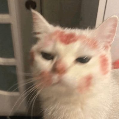 bmineblue's profile picture