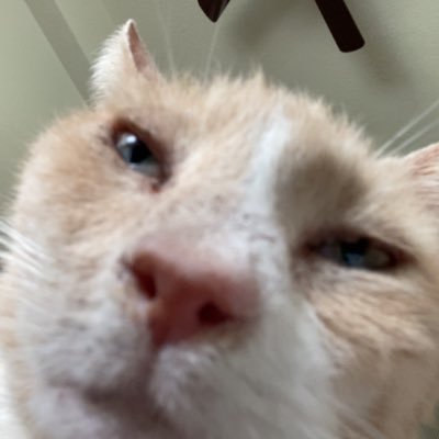 charlie's profile picture